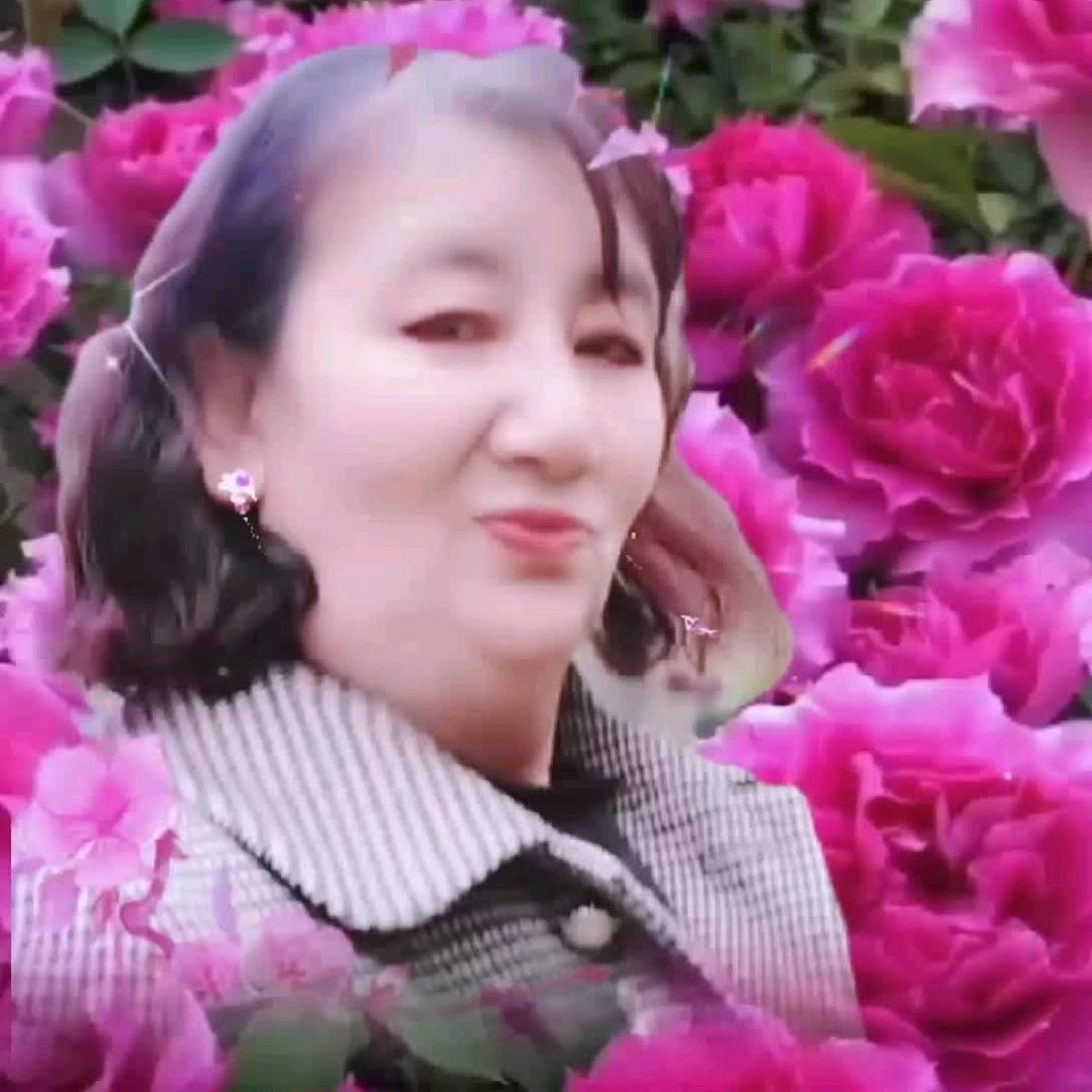 冬天的玫瑰🌹🌹