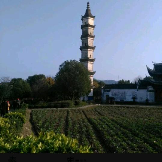 春意盎然