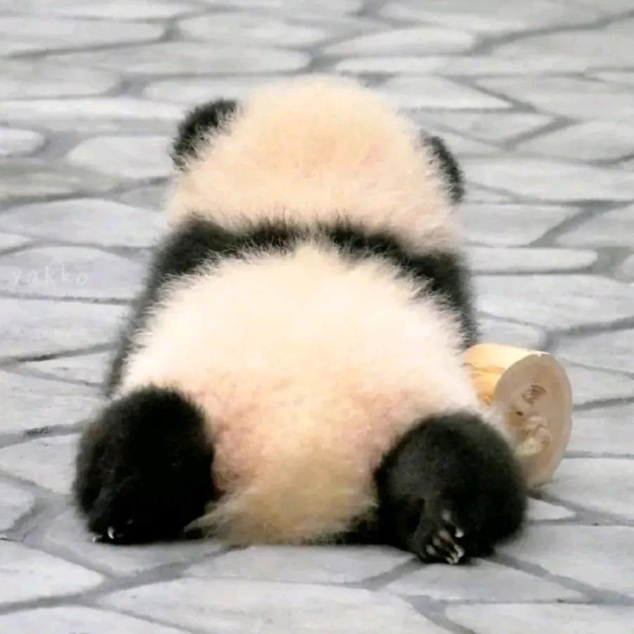 孙老邪