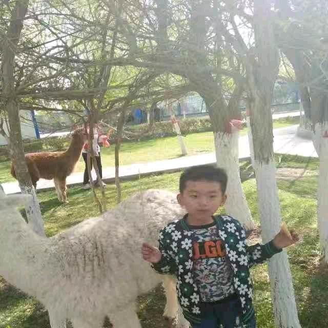 默默🐂