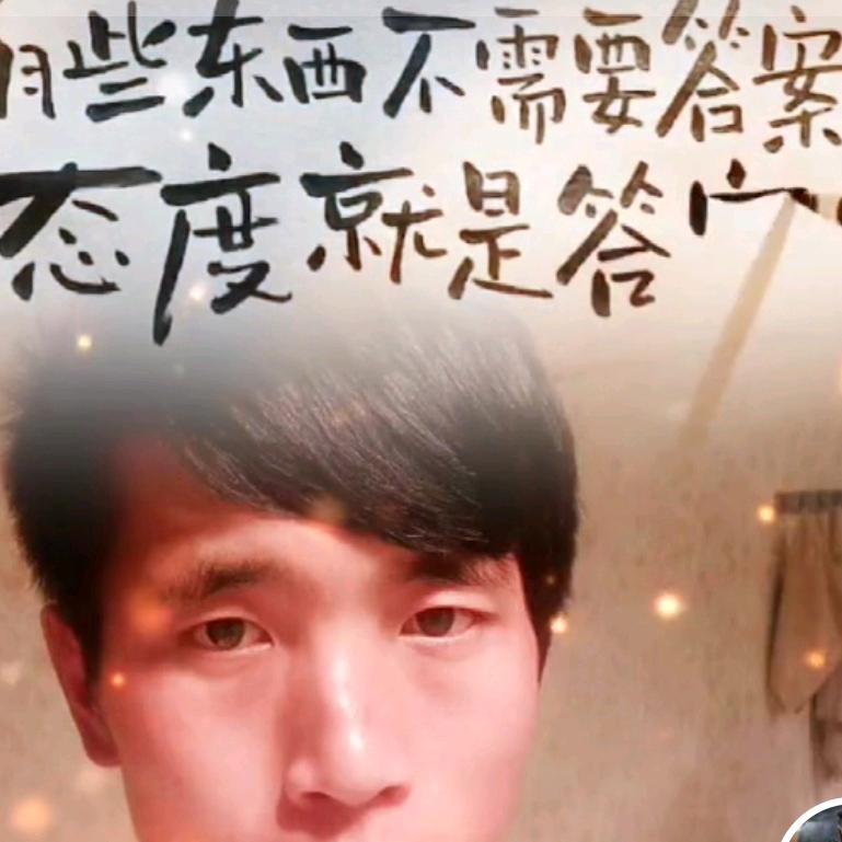 维西星豪高端门窗订制