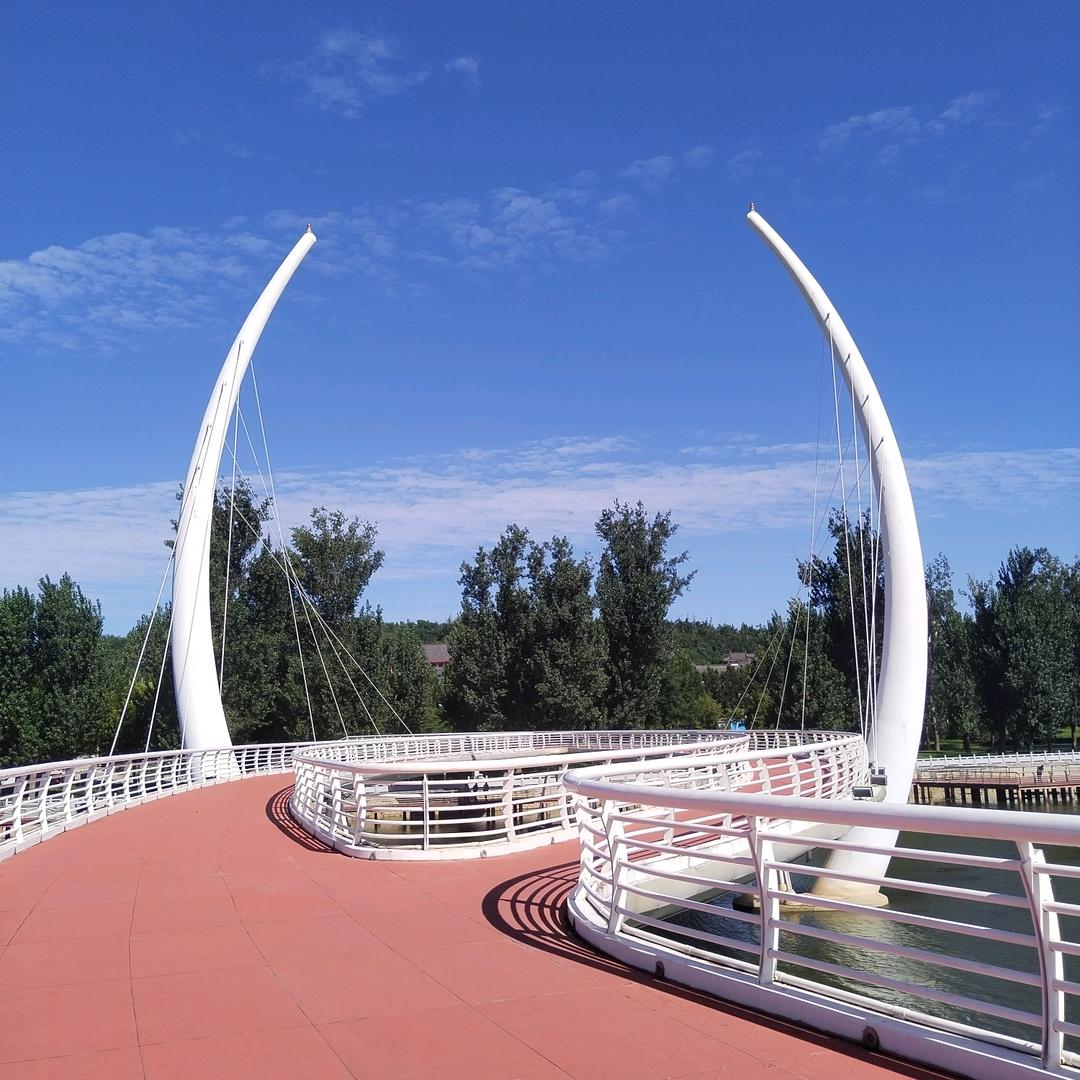 勇哥 ——（大侠007嘟玫师姐）