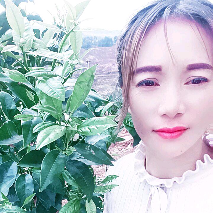 专业种植沃柑女子