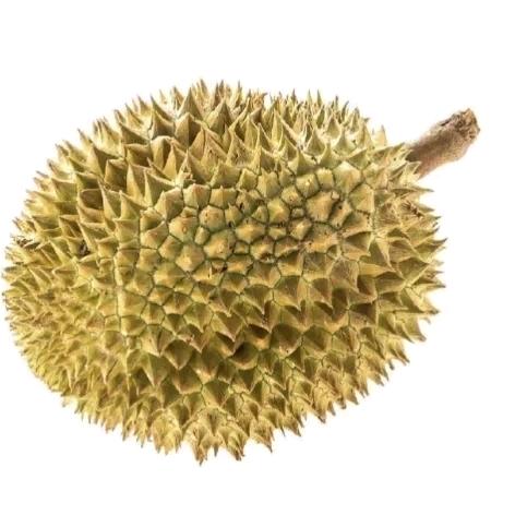 C榴莲蛋糕