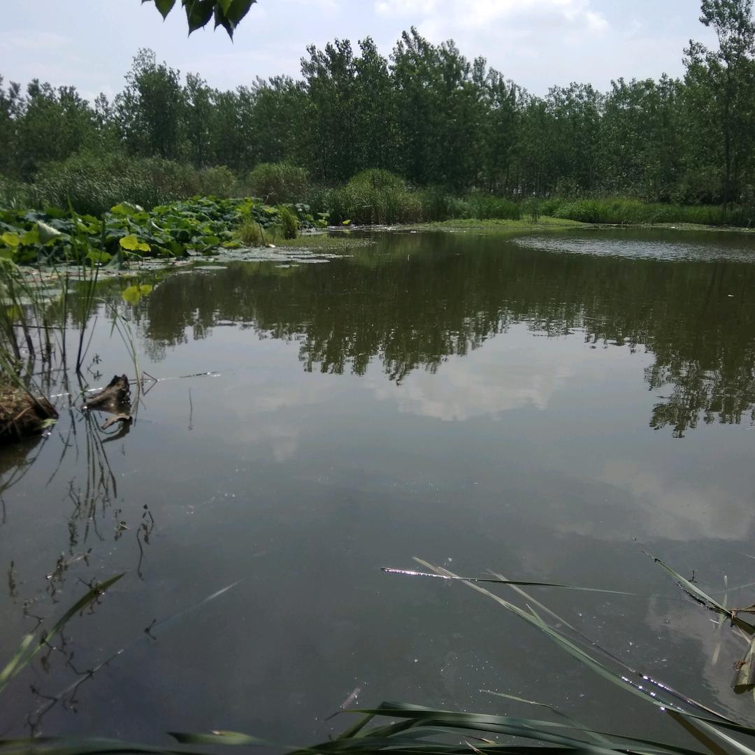 默默无闻