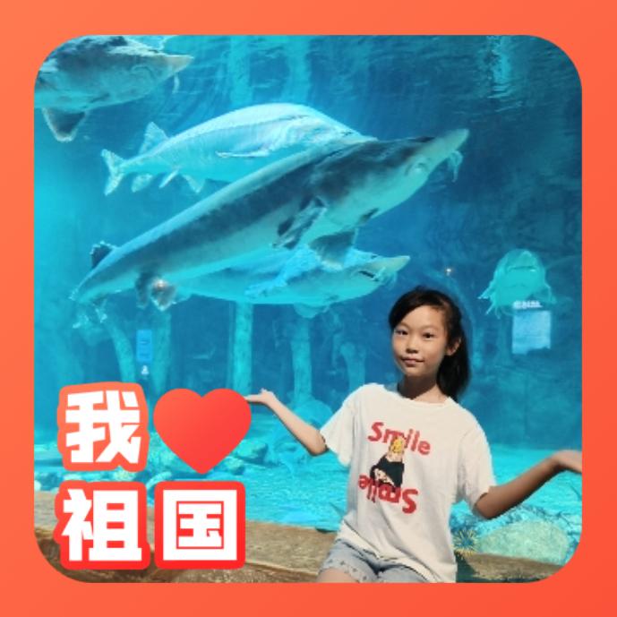 菲菲