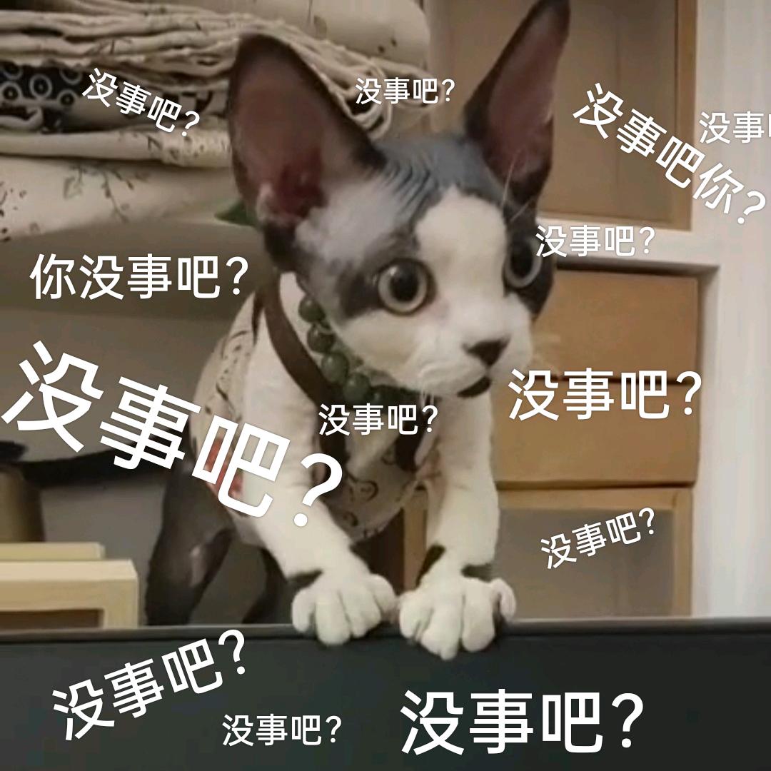 韩哈哈头像