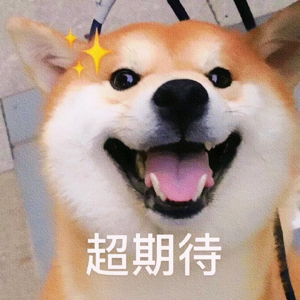 哒哒追剧