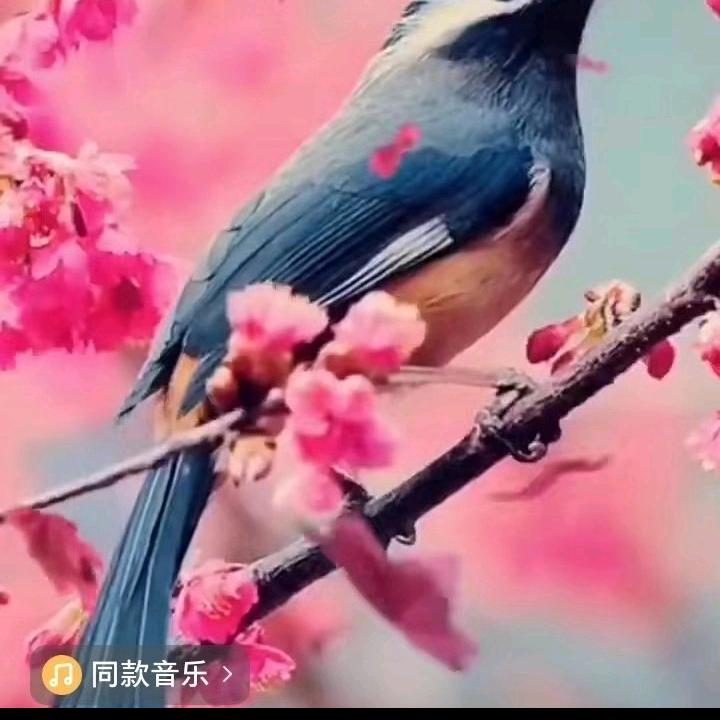 快乐