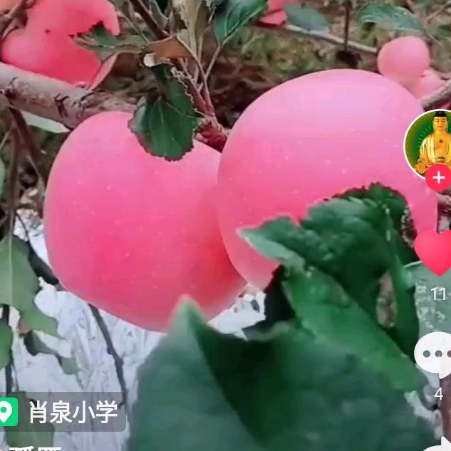 随遇而安。