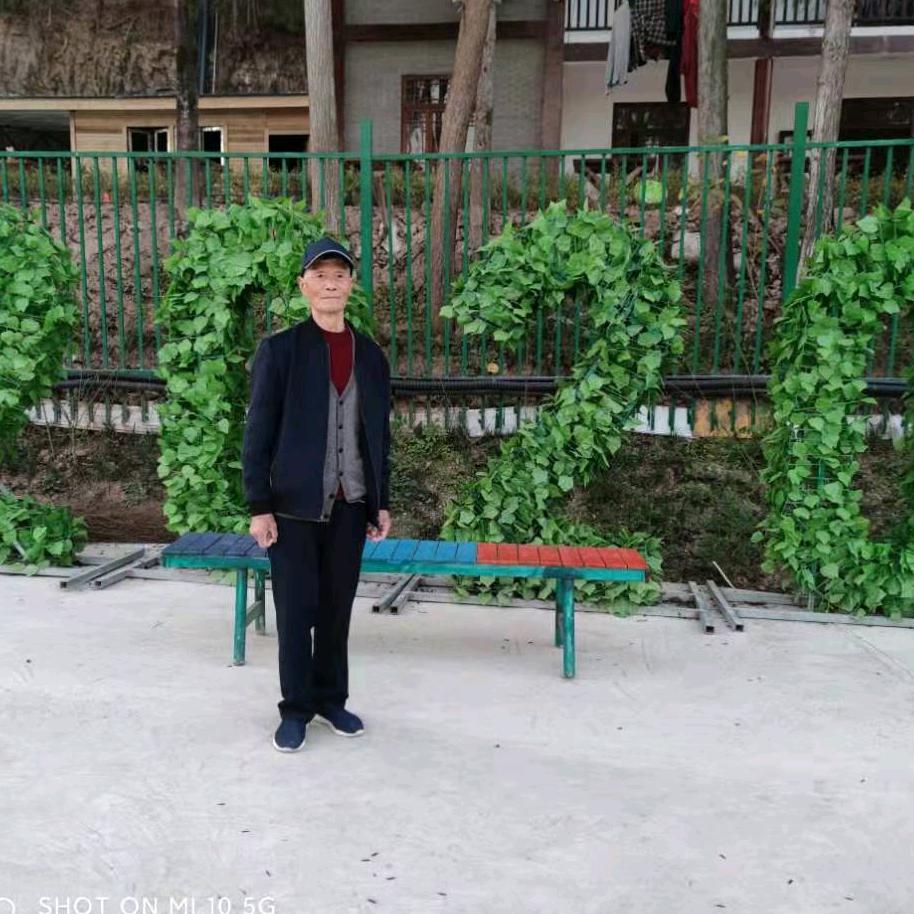 杨老师