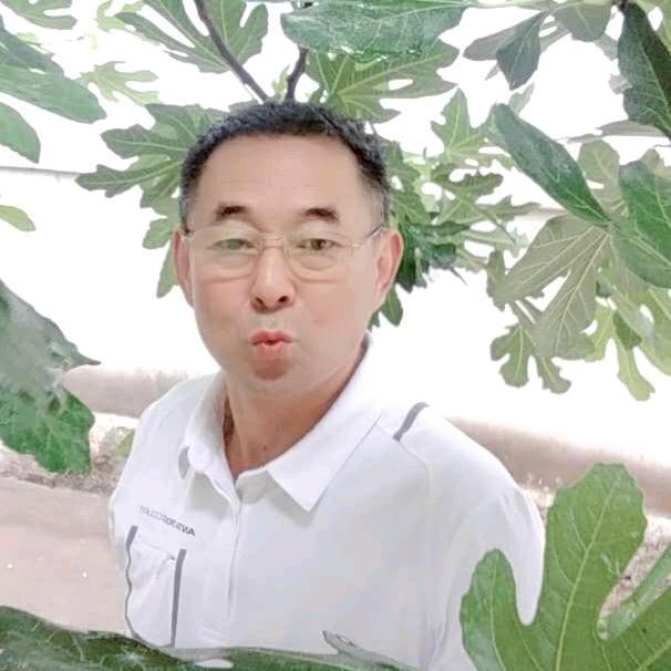 快乐老头
