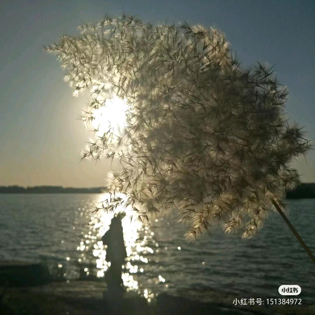 走错一步，折磨一生（燕）