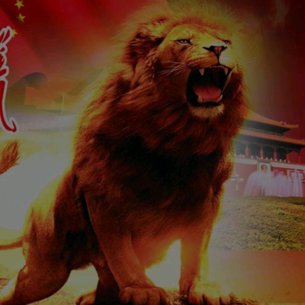 勇极质解,快乐永修