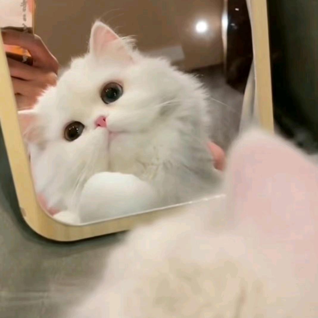 哆来福页面