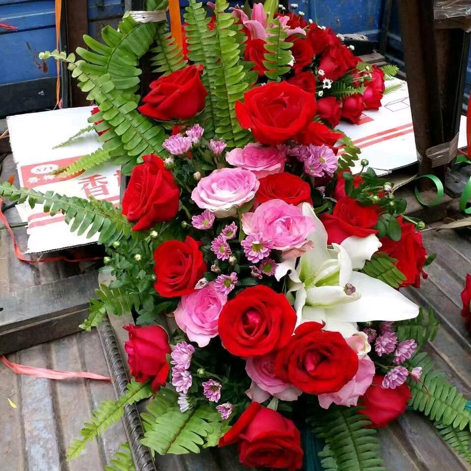 🌹万水千山🌹