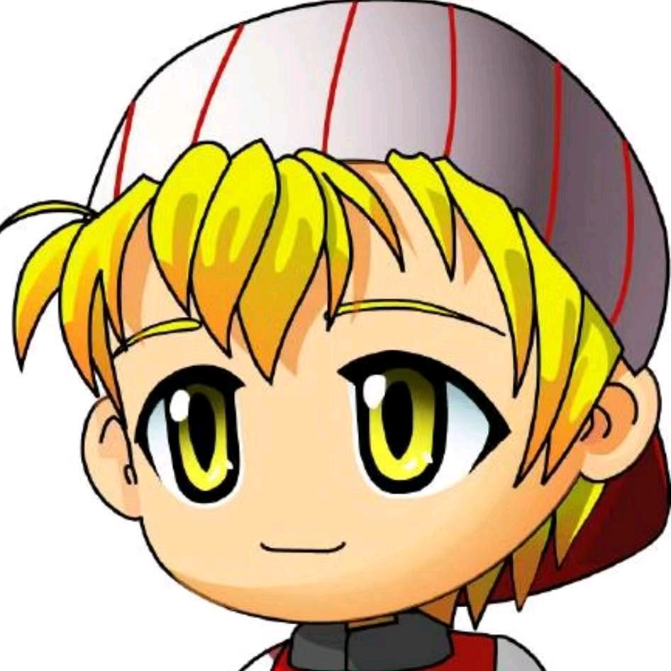 挣钱养项