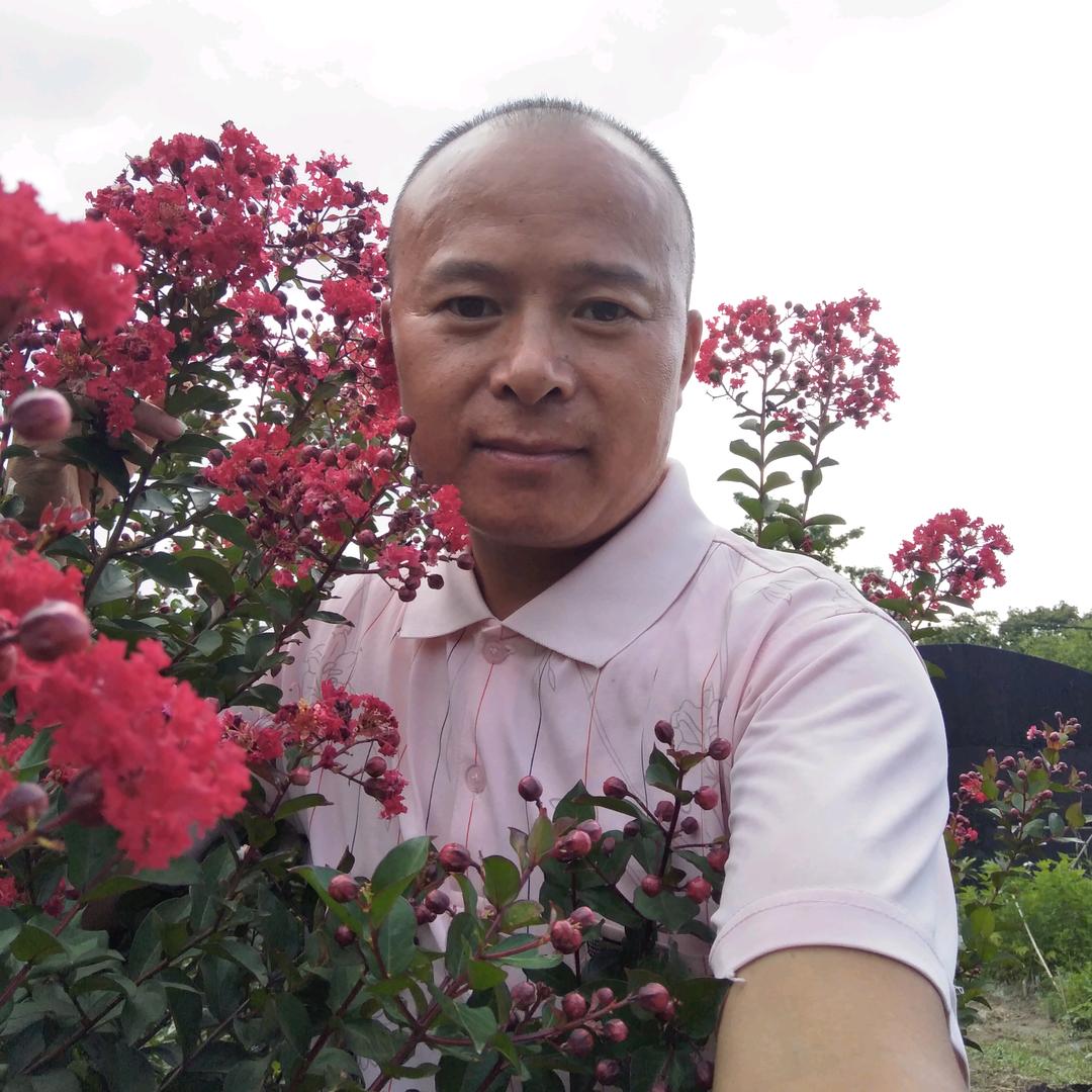 碧林花哥