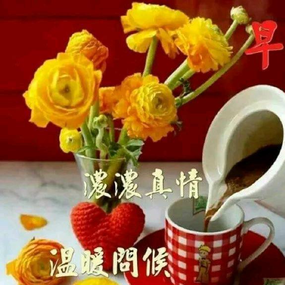 做好自己爱恨随缘