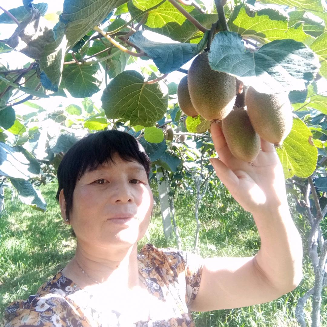 杨姐猕猴桃直销