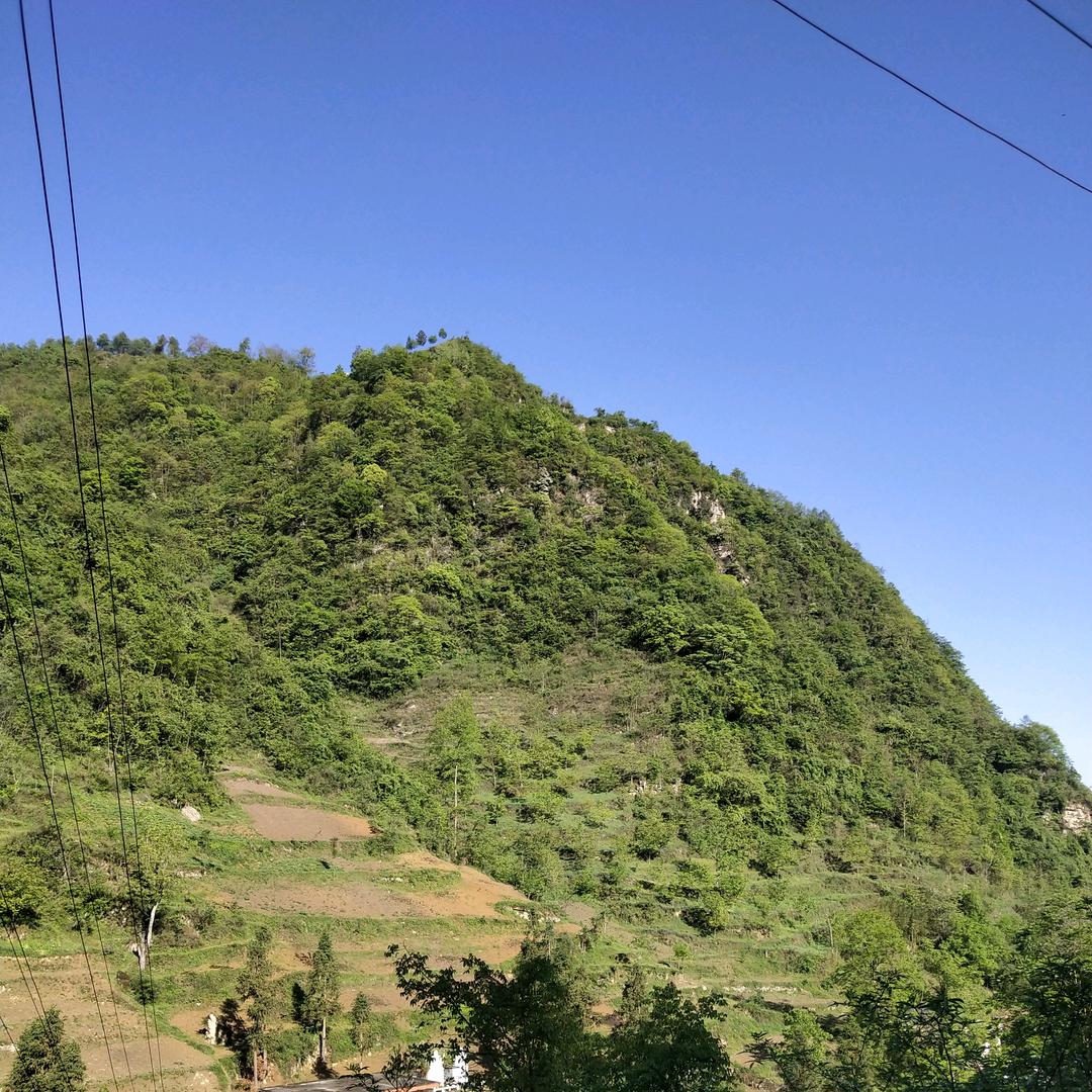 彝良县云乡农业经营部