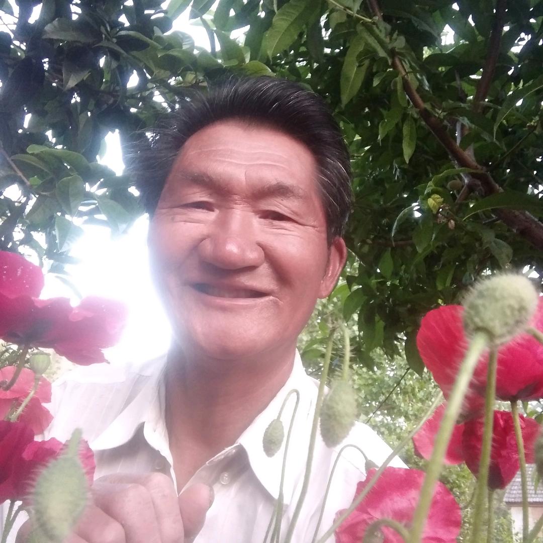 用老戏迷张老大307996653