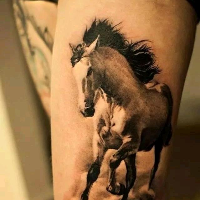 ✨🌫天馬行空✨