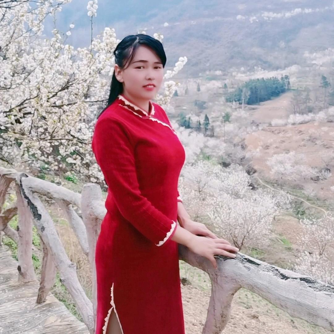 花开满城