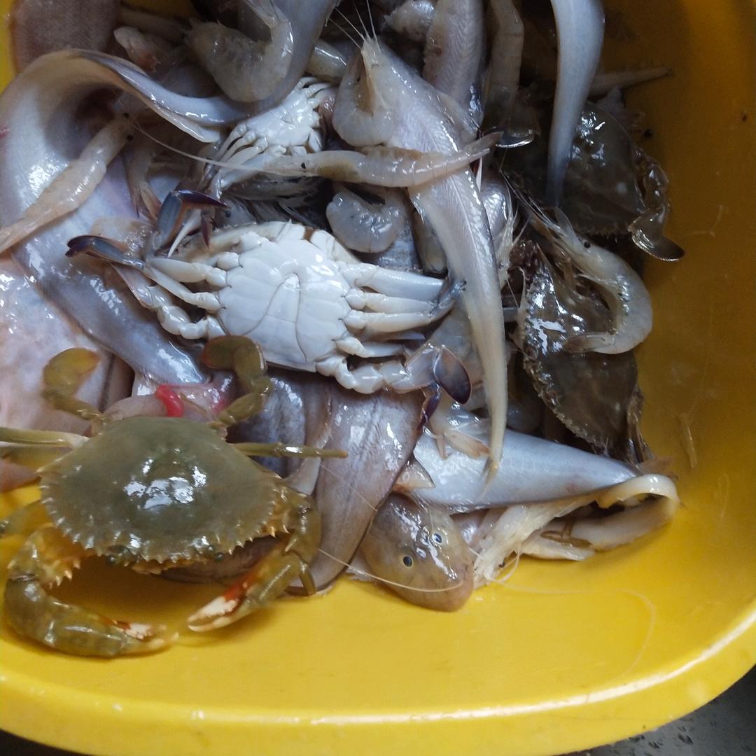 🇨🇳🌈 🐠漁🐠🌈 🇨🇳