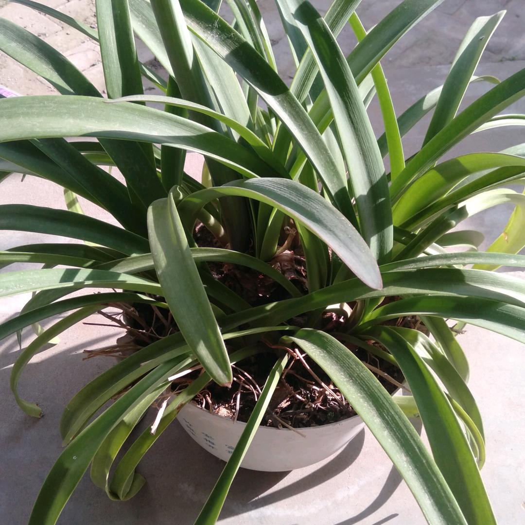 开心每一天（拒绝私聊）