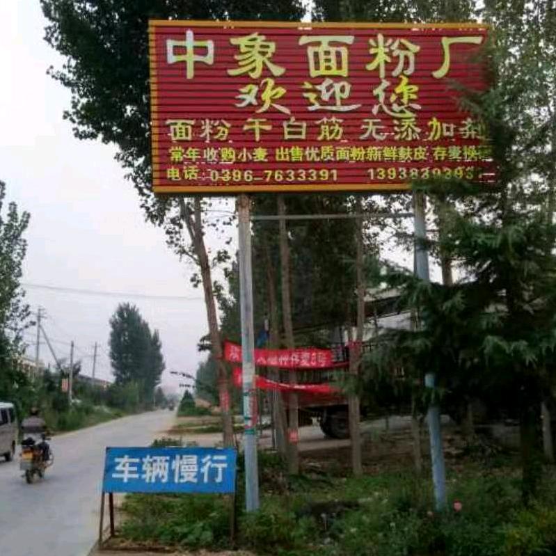 中象面 天天见