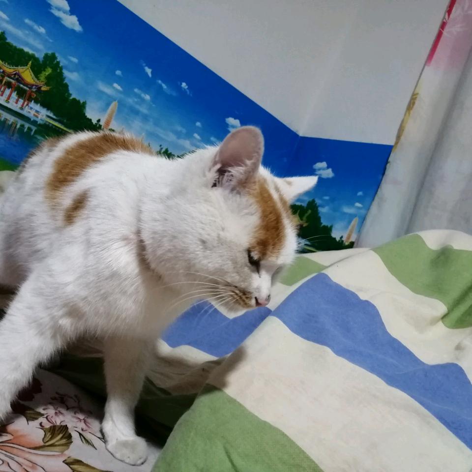 白云蓝天