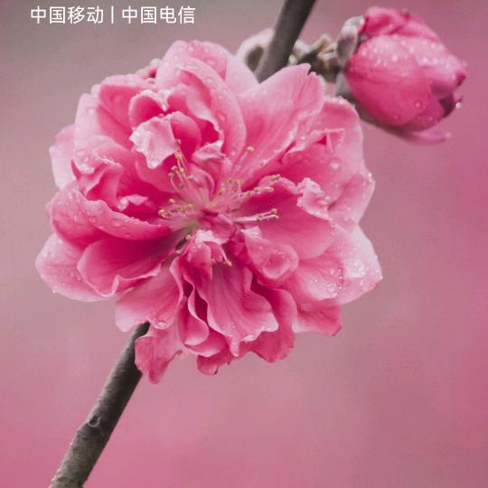 开财开财