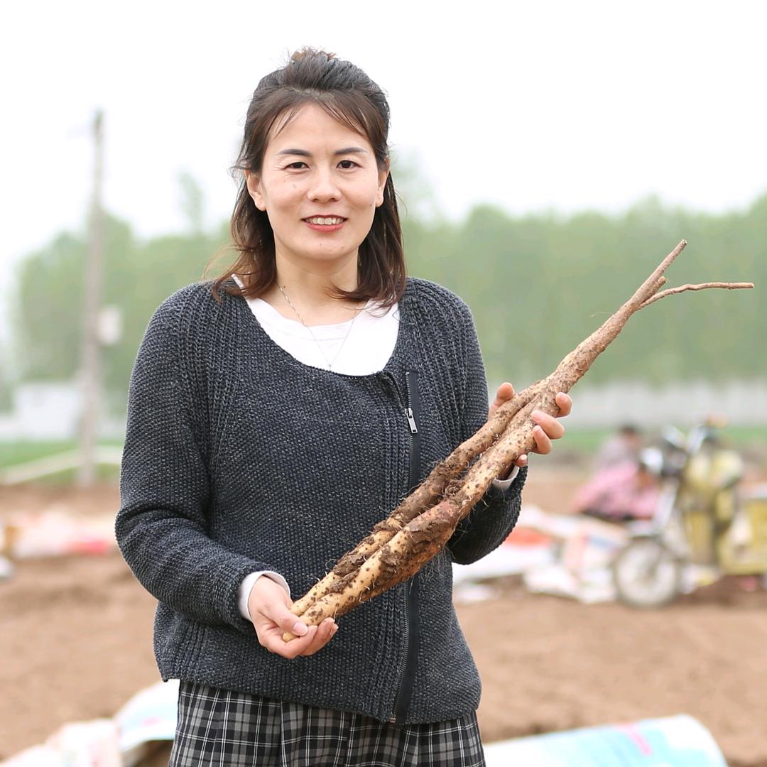 山药状元【铁棍山药】@抖音