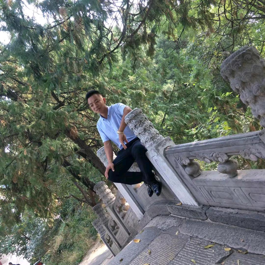 被迫入江湖