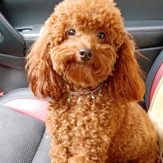 心思梦缘茶楼家具工厂店