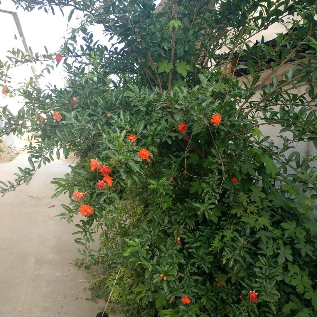 面点教学