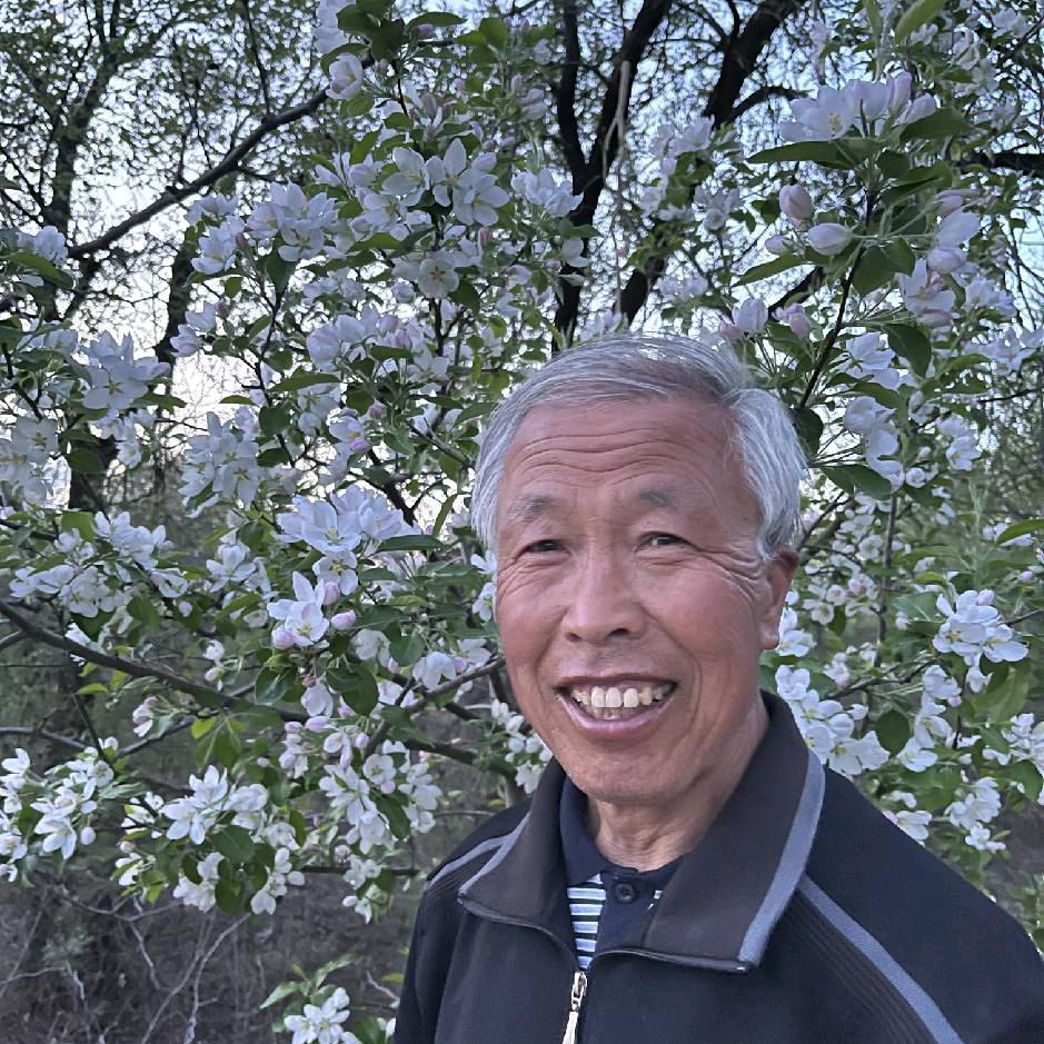 梦回青春