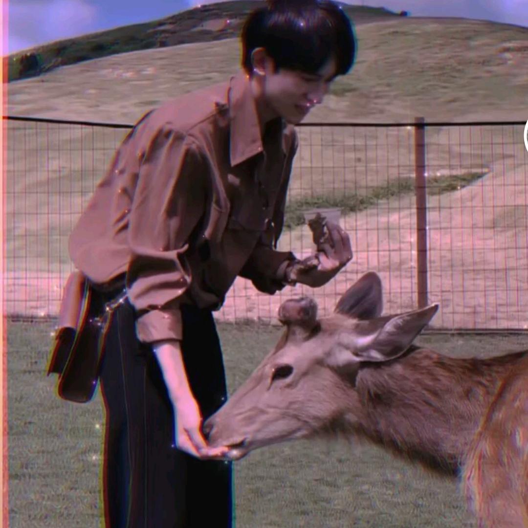 你的芬芳