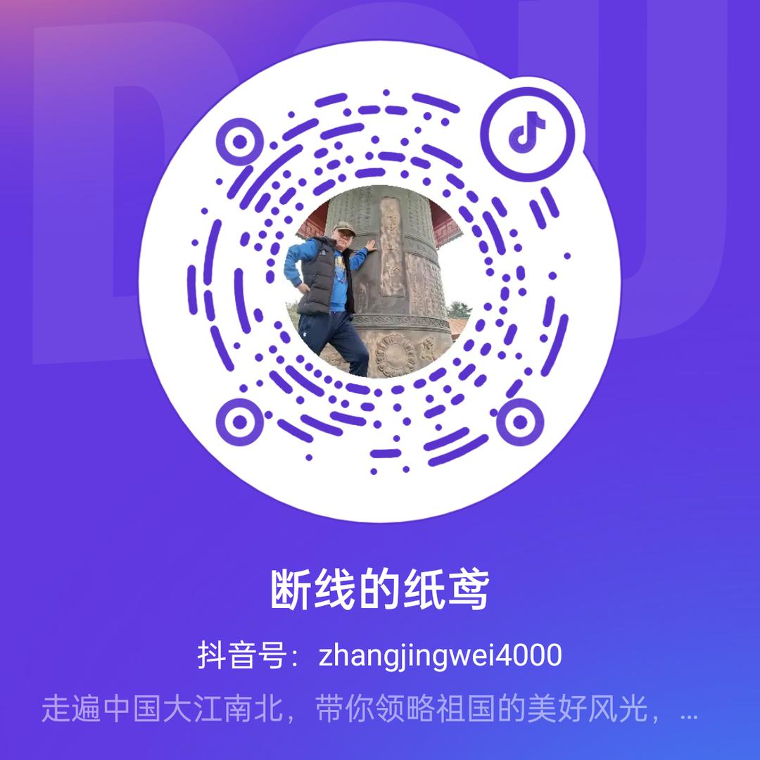 断线的纸鸢