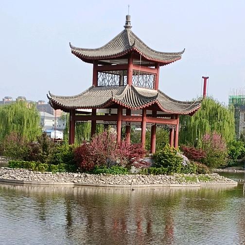 秋天的枫叶