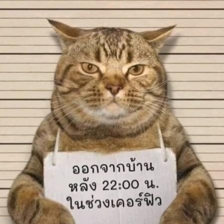 迪亚卡