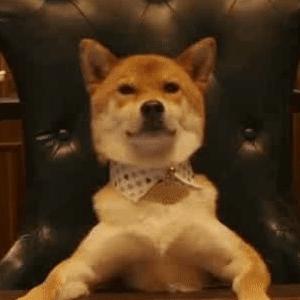 拳狮