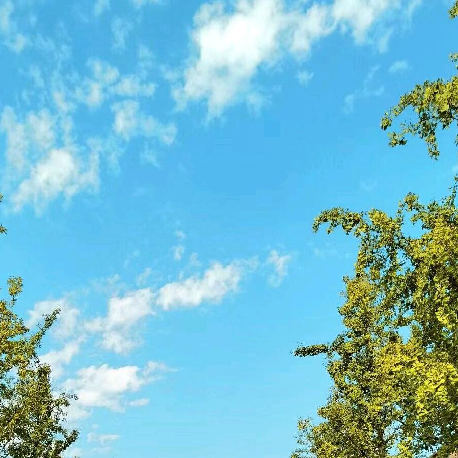 新疆生态大米店