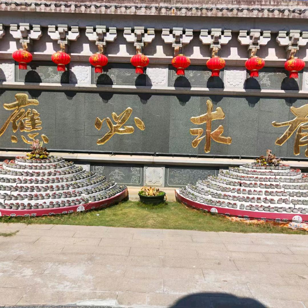 zc明~~