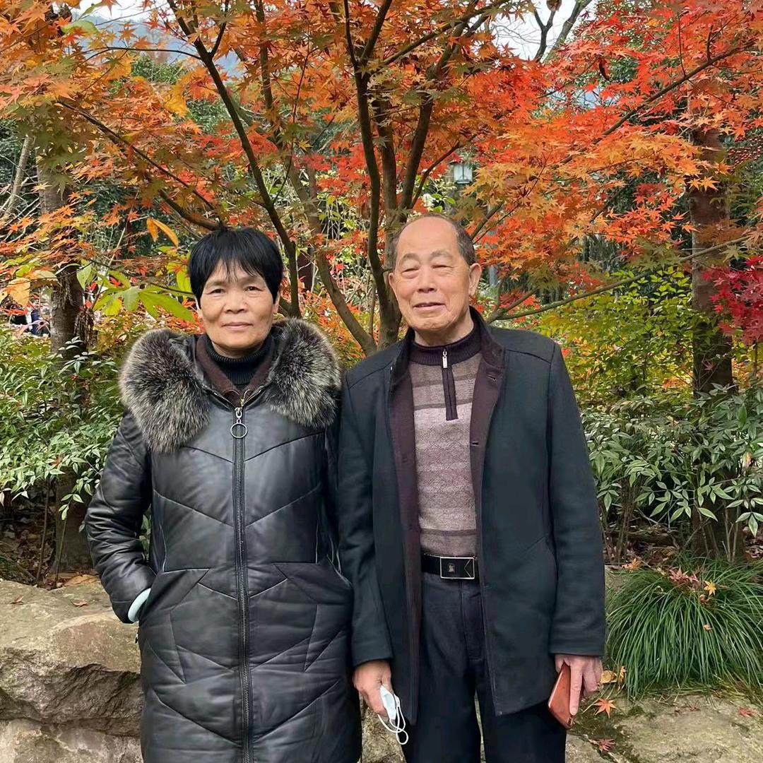 一枝梅.