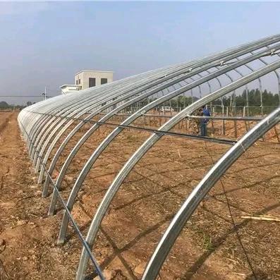 张家羊铁管厂鑫农源温室工程有限公司