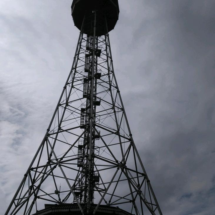 天仙精彩(卢氏家族)