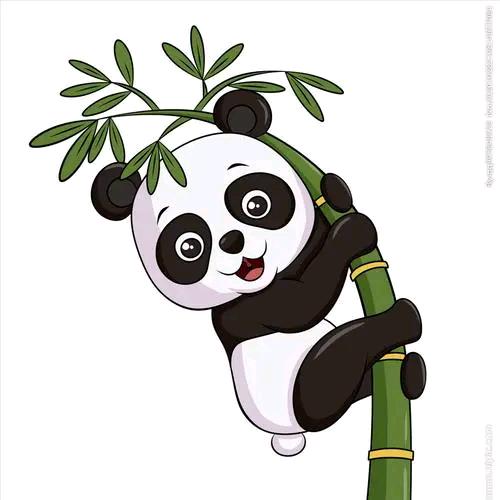 胖哒在沙特
