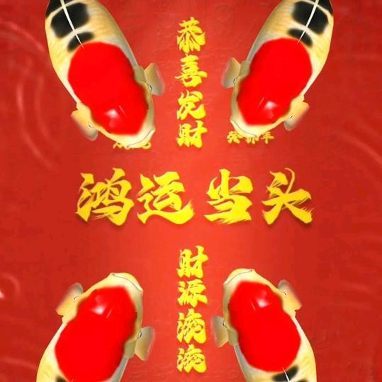 鸿运(贠)当头